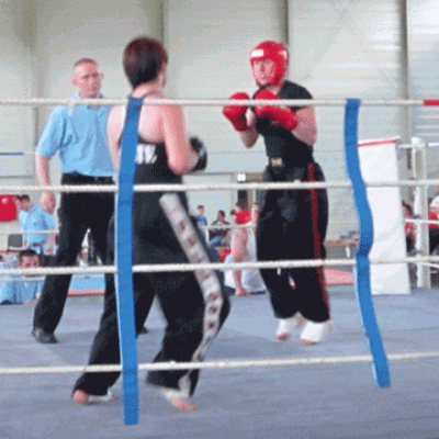 Küzdősport gálák